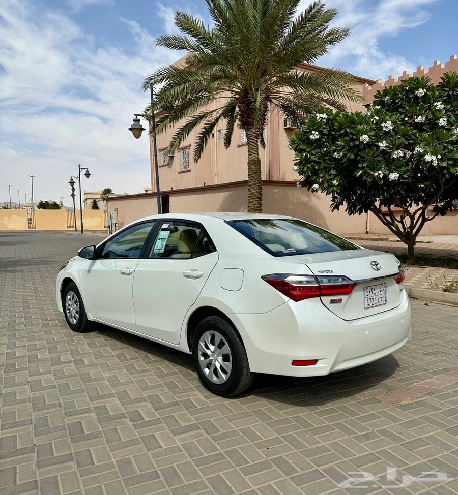 Corolla (19)64511618905729113