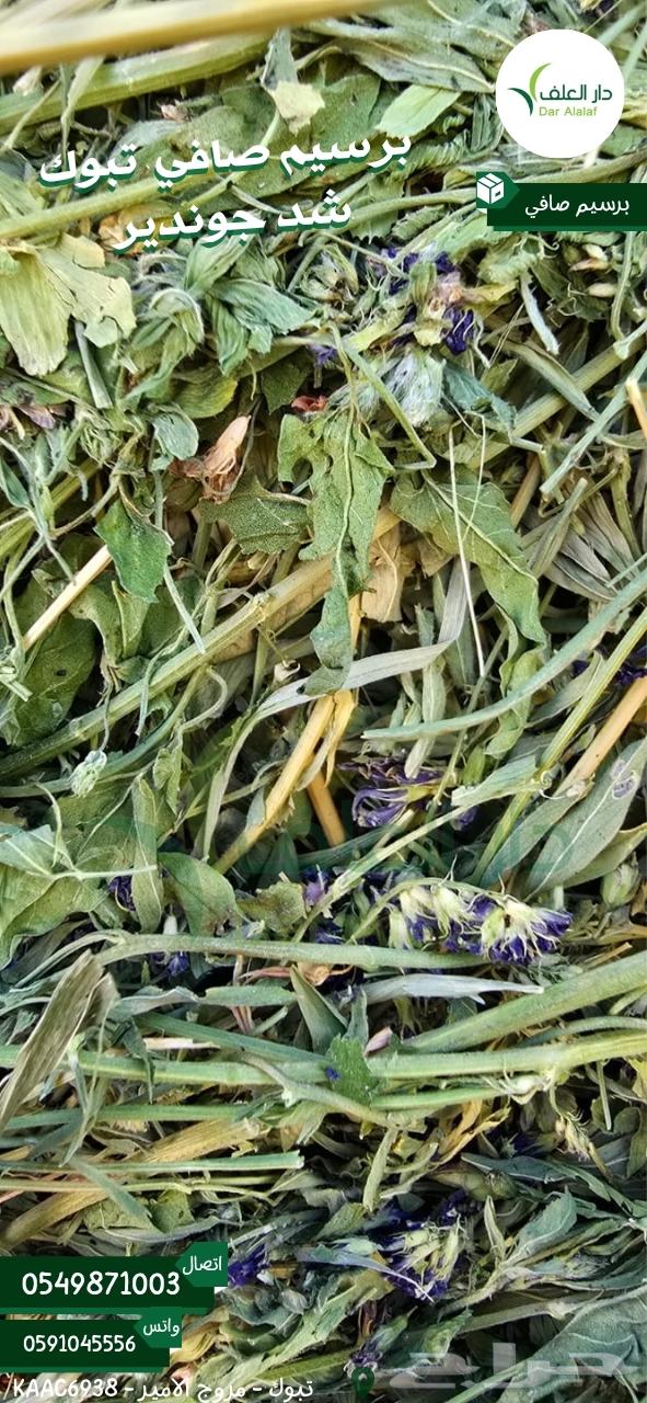National and Imported Alfalfa Offers63667691766658111