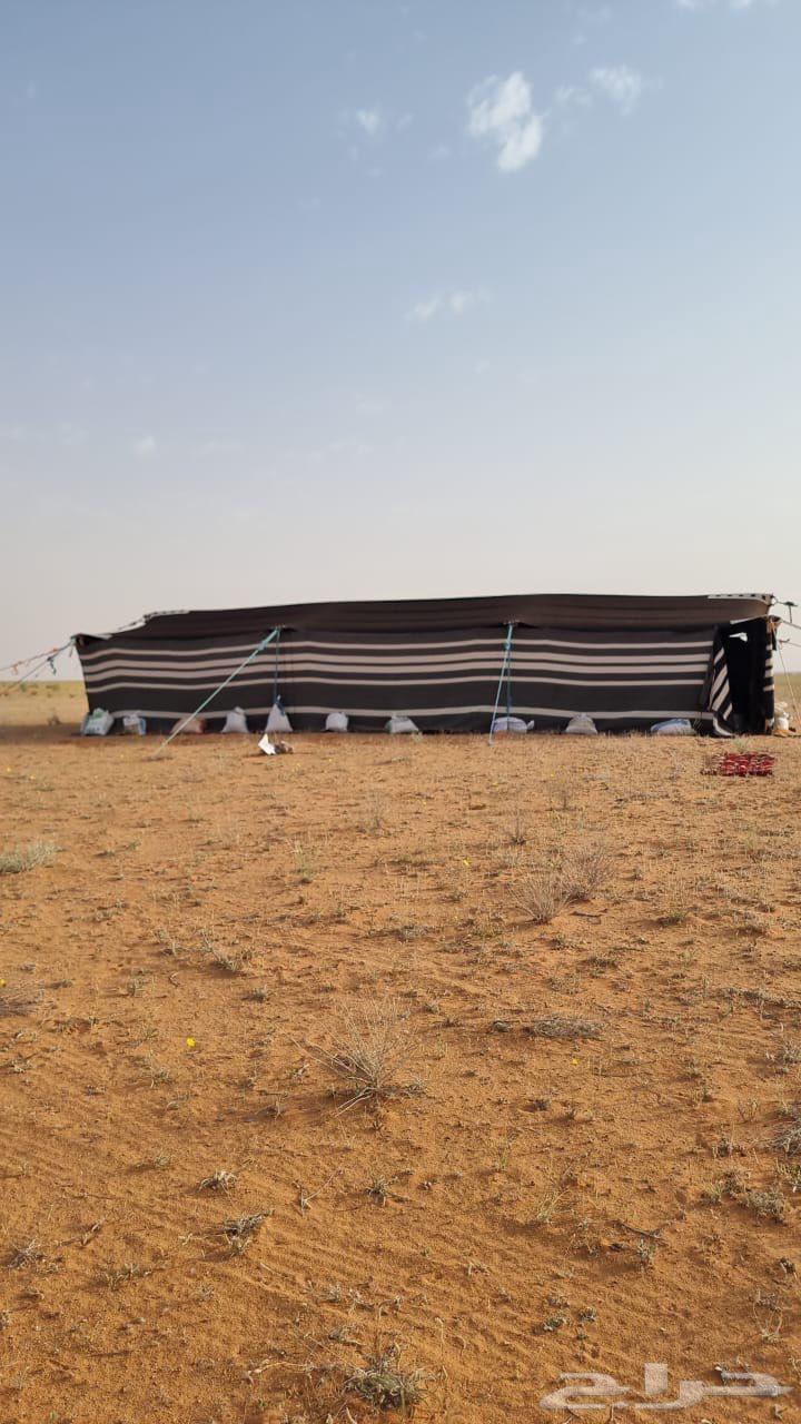 Ha'il soil64391174726145111