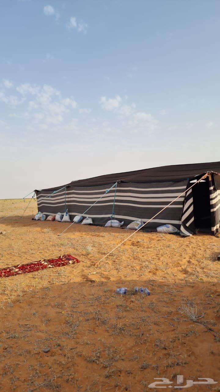 Ha'il soil64391174726145112