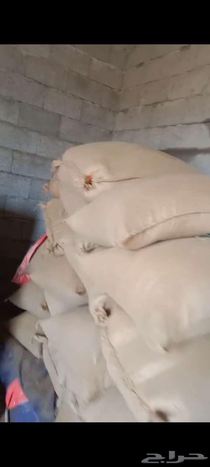 Clean and conditioned sesame64379839176067111