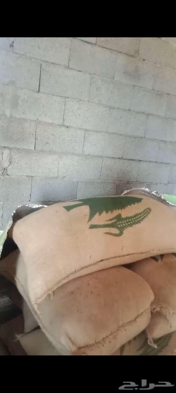 Clean and conditioned sesame64379839176067110