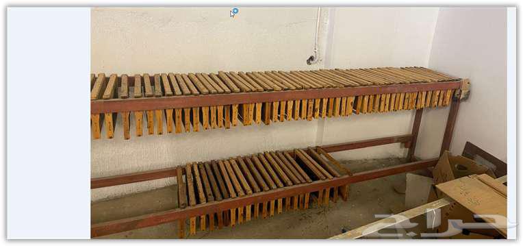 خلايا نحل و شمع ممطوط64385761370753111