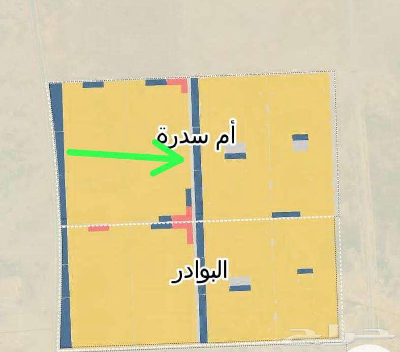 مخطط الهجره ب شارع 25 نافذ63613881703553111