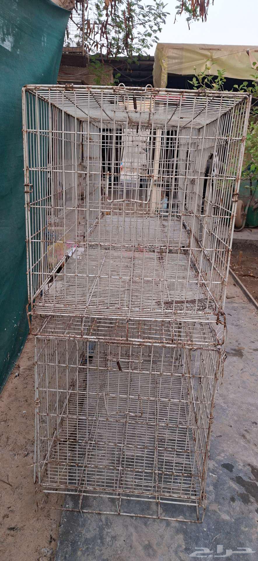 اقفاص حديد للبيع64381920290817112