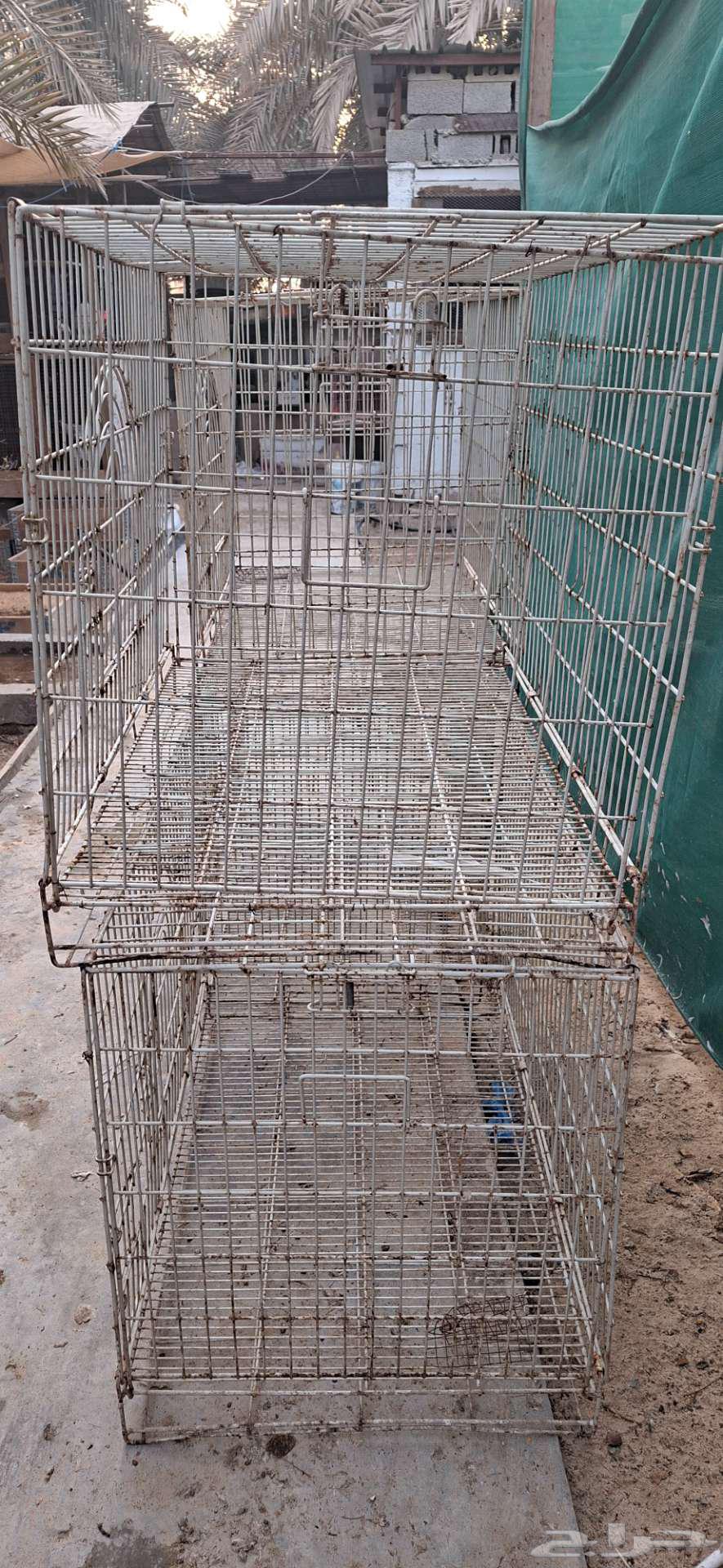 اقفاص حديد للبيع64381920290817113