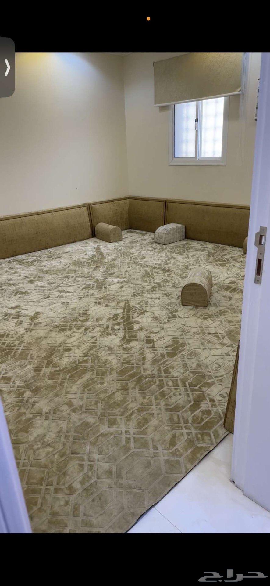 Back supports and 7 cushions size 5 564379341257603112