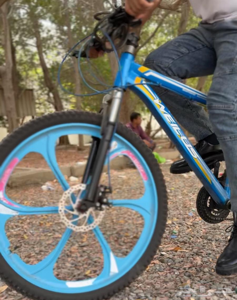 دورة الألومنيوم64538204350082110