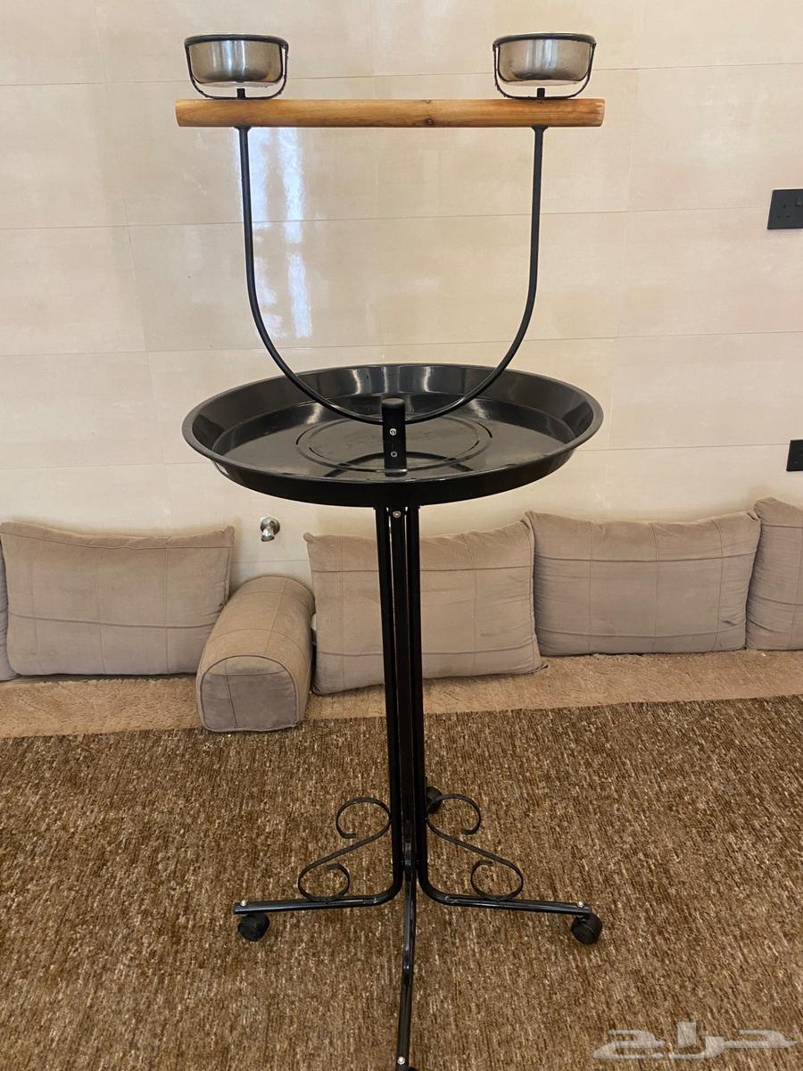 New stand used for 3 days64382224487938112