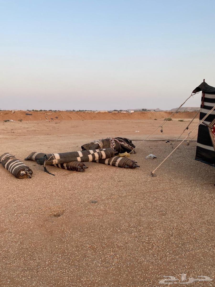 للبيع بيوت شعر مع أغراض مخيم64382997742595113