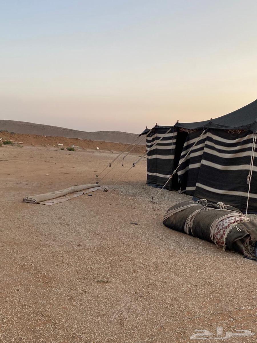 للبيع بيوت شعر مع أغراض مخيم64382997742595112