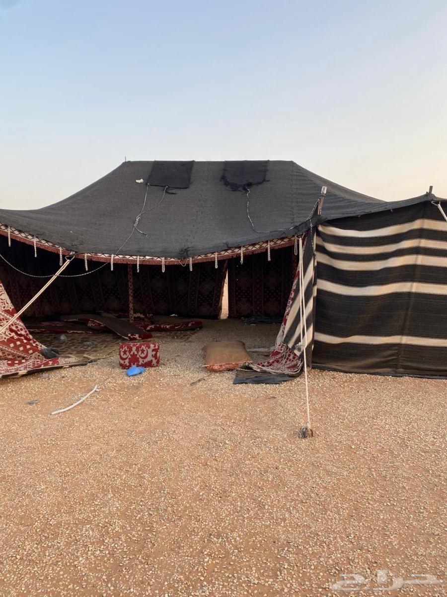 للبيع بيوت شعر مع أغراض مخيم64382997742595111