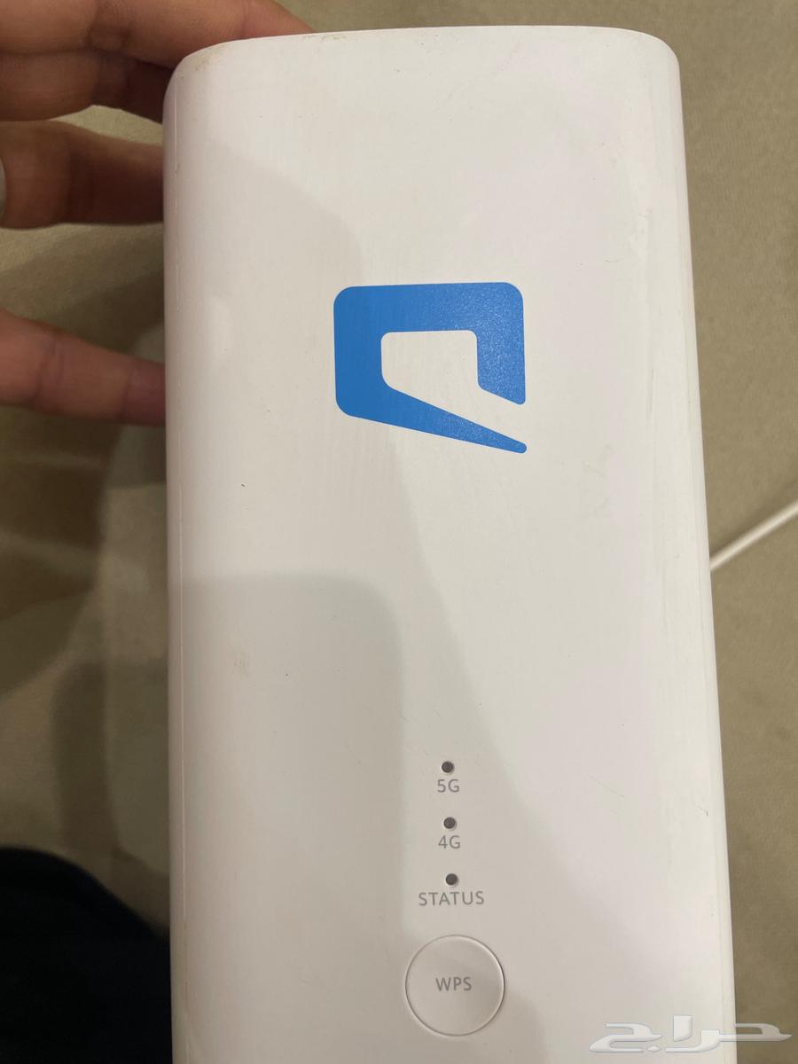 القنفذه64383206509699110