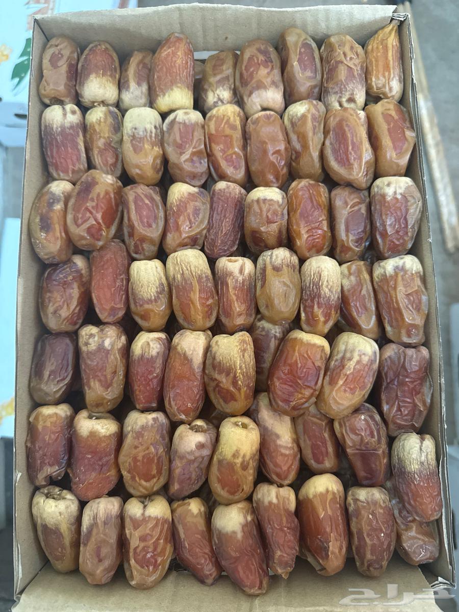 Saqi Dates64384576538497113