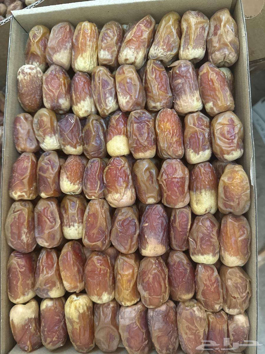 Saqi Dates64384576538497112