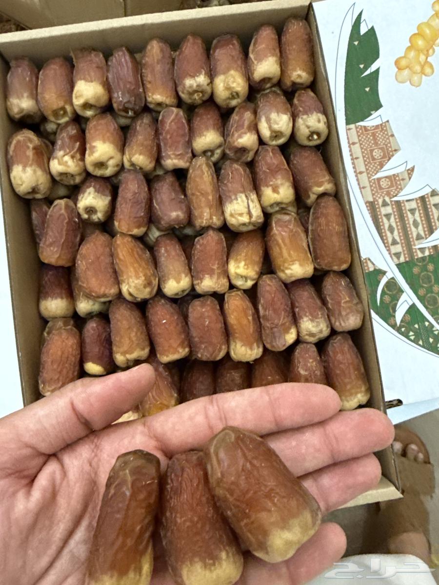 Saqi Dates64384576538497110