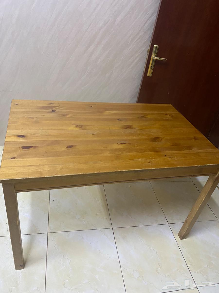 المدينة المنورة64394882543617114