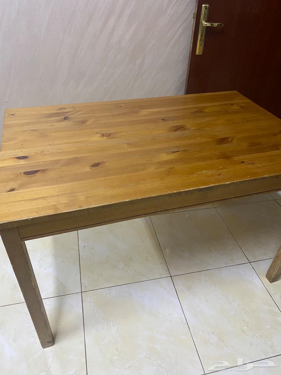 المدينة المنورة64394882543617113