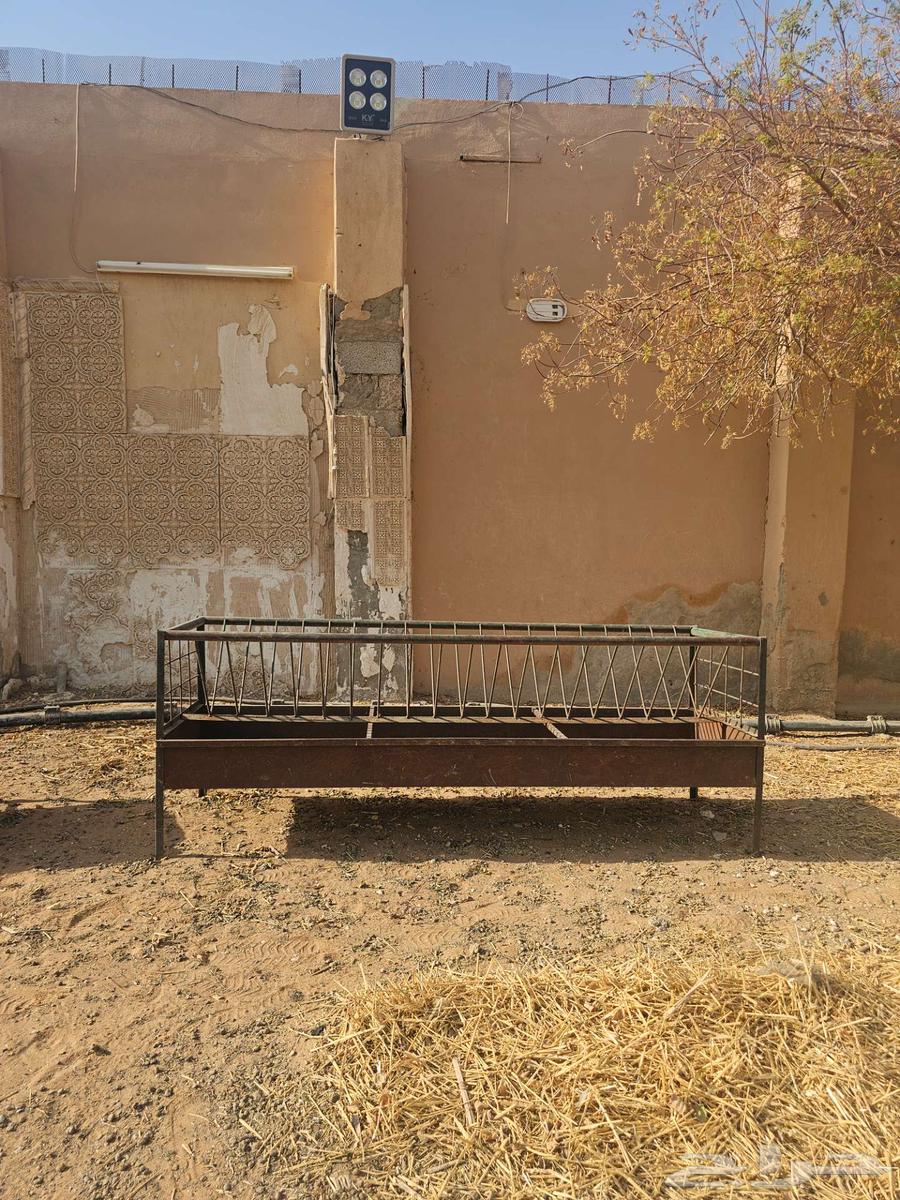 Sheep troughs, stands, and watering containers made of iron, steel, and plastic64385606629763111