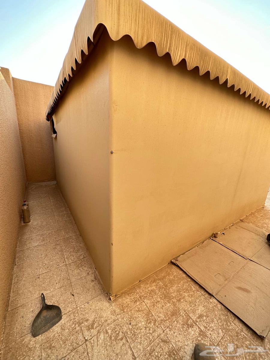 خيمة ملكية 4x464385928686977113