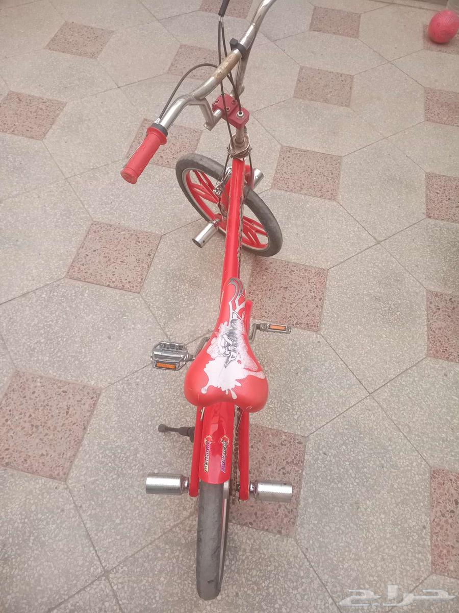 سيكلين مقاس 20 نظيفه للبيع64386738758403113