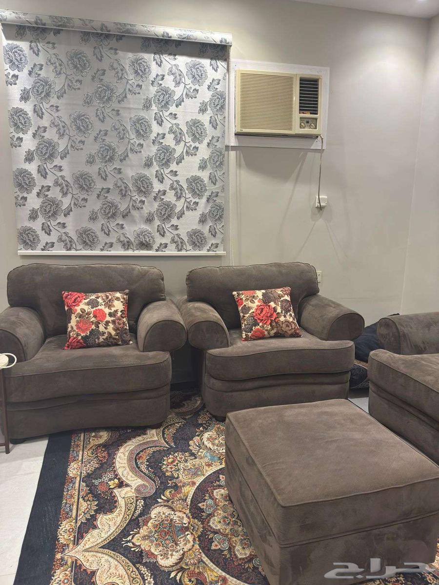 كنب أمريكي64386906167425111