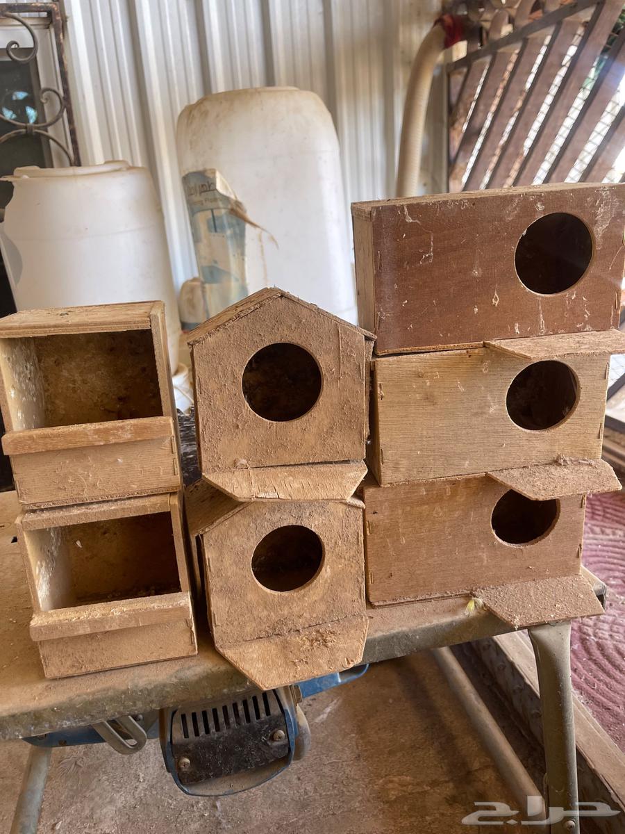 بياضات زيبرا مستخدمة نظيفه للبيع64387369218819110