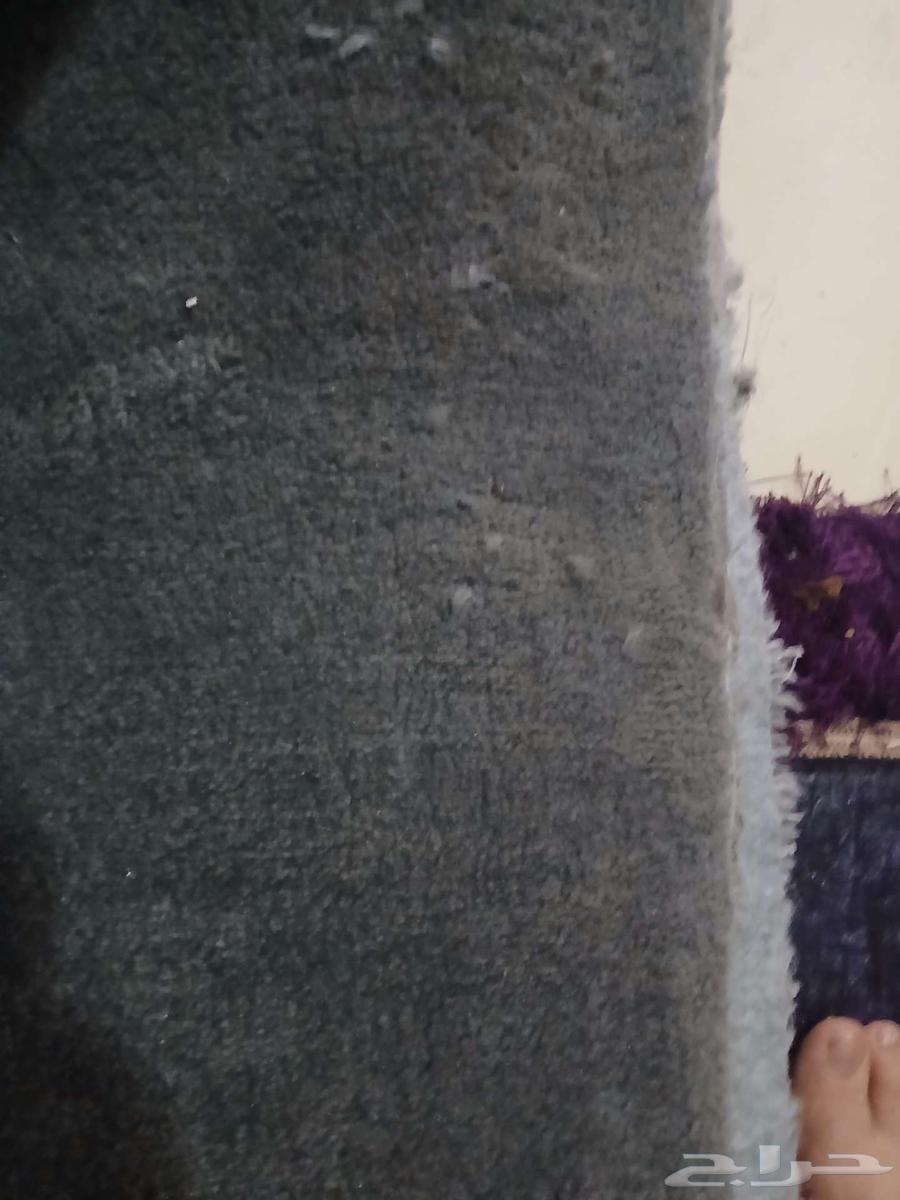فرشه موكيت للبيع مستعجل ب 50 ريال64387815544451111