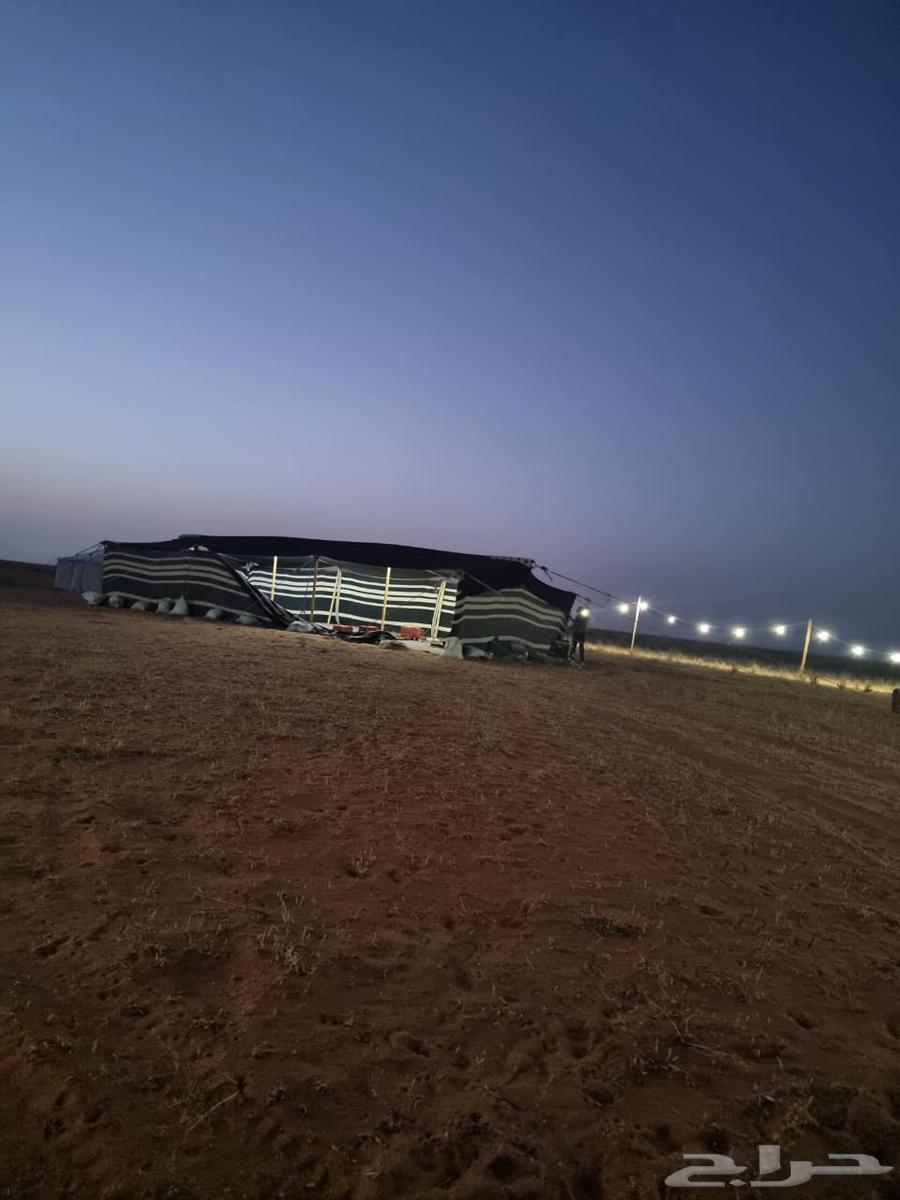 Ha'il soil64391174726145113