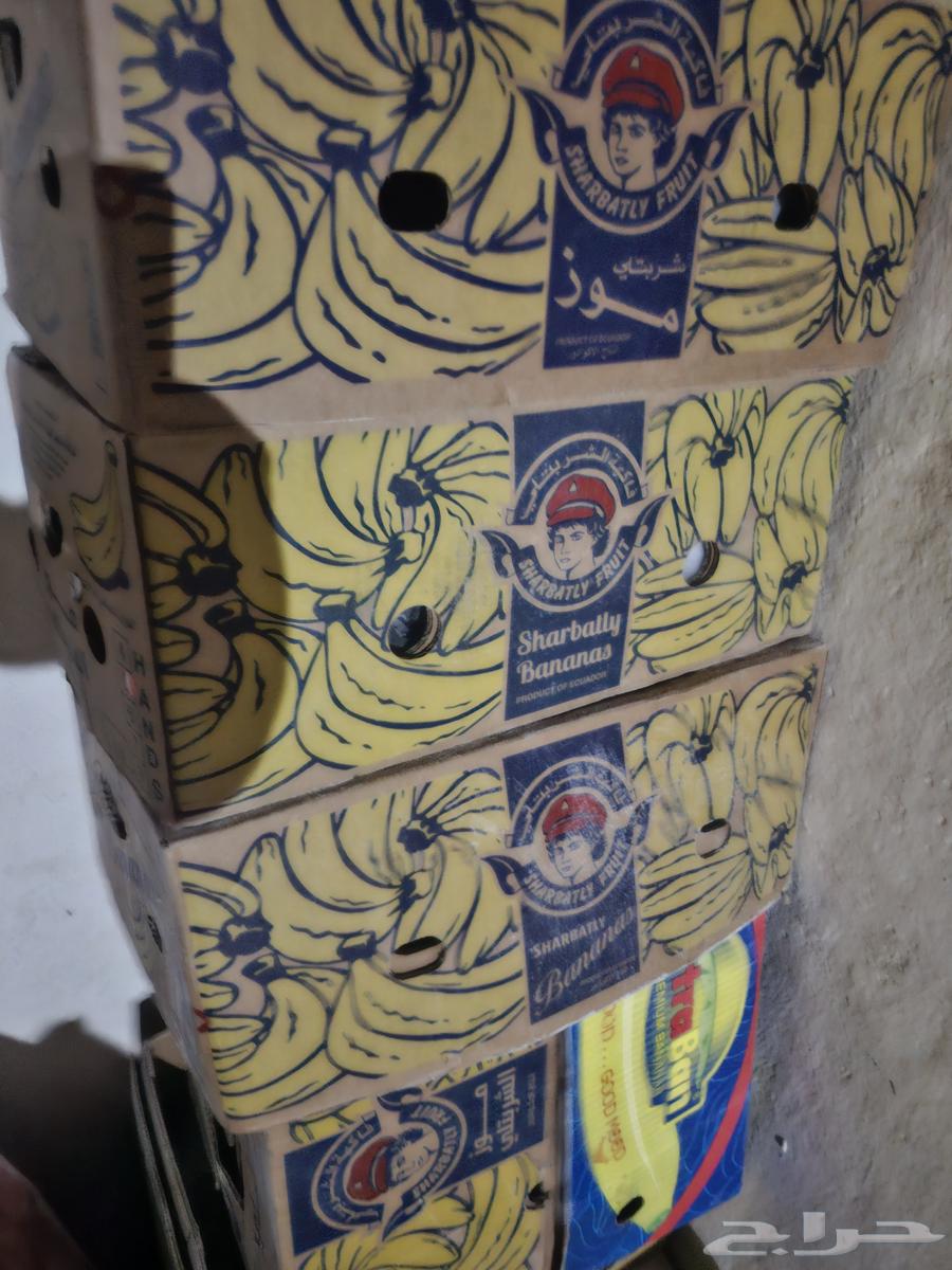 كراتين موز عدد 14 حبه64380107336963110