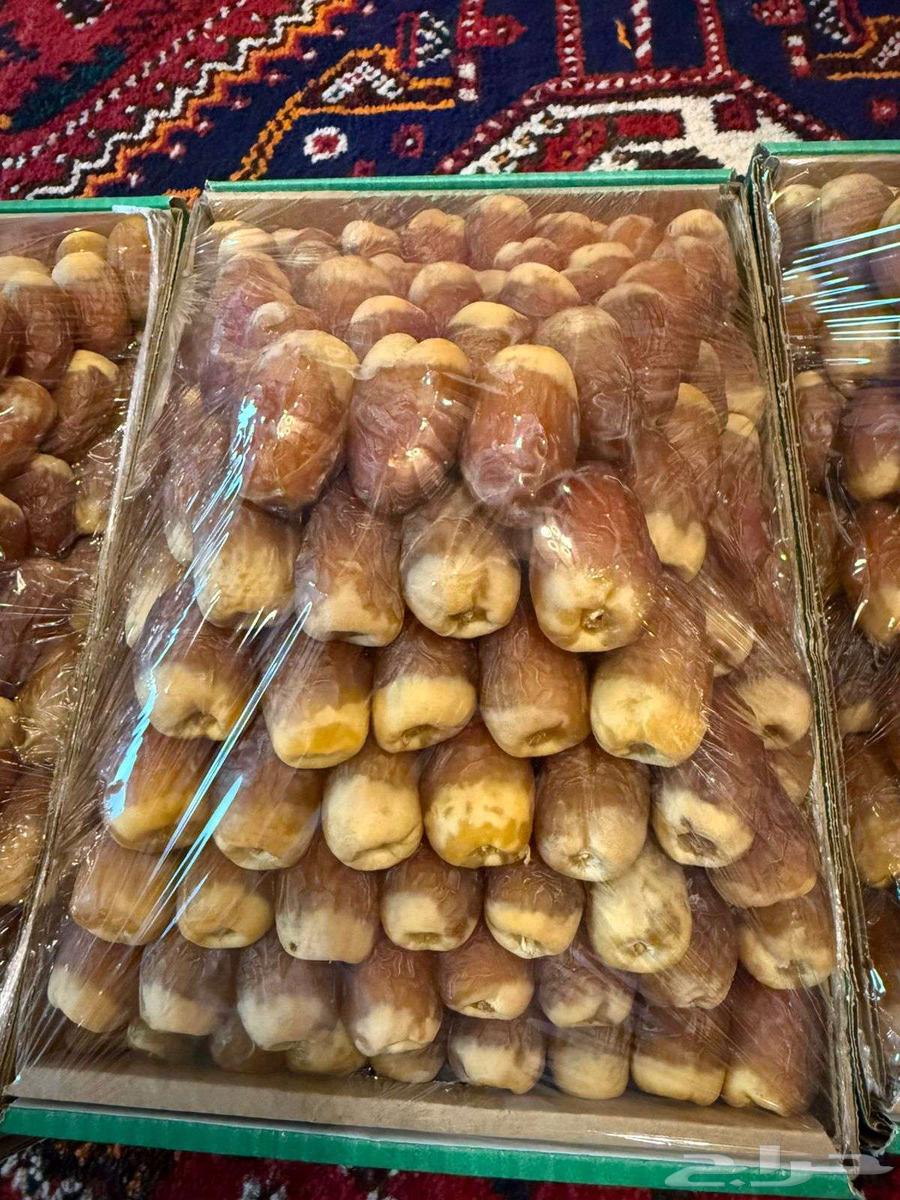 Tamr Saq'i64391797611139113