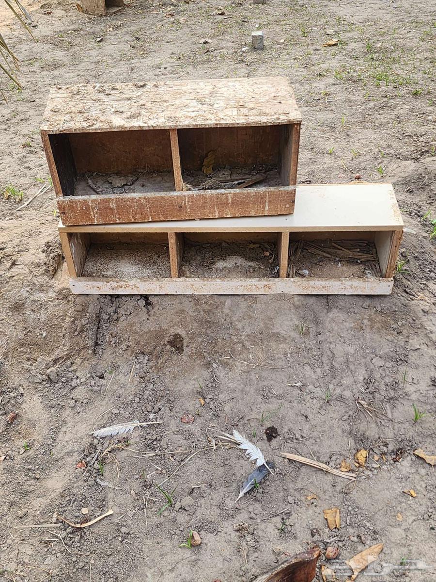 Bird Perch64392045761921110