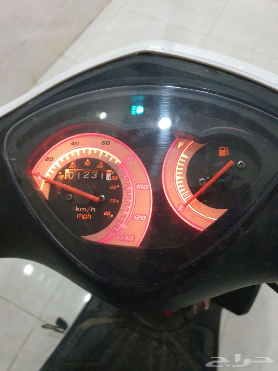 دباب بطه صيني موديل2025 بسعر 180064537979536898113