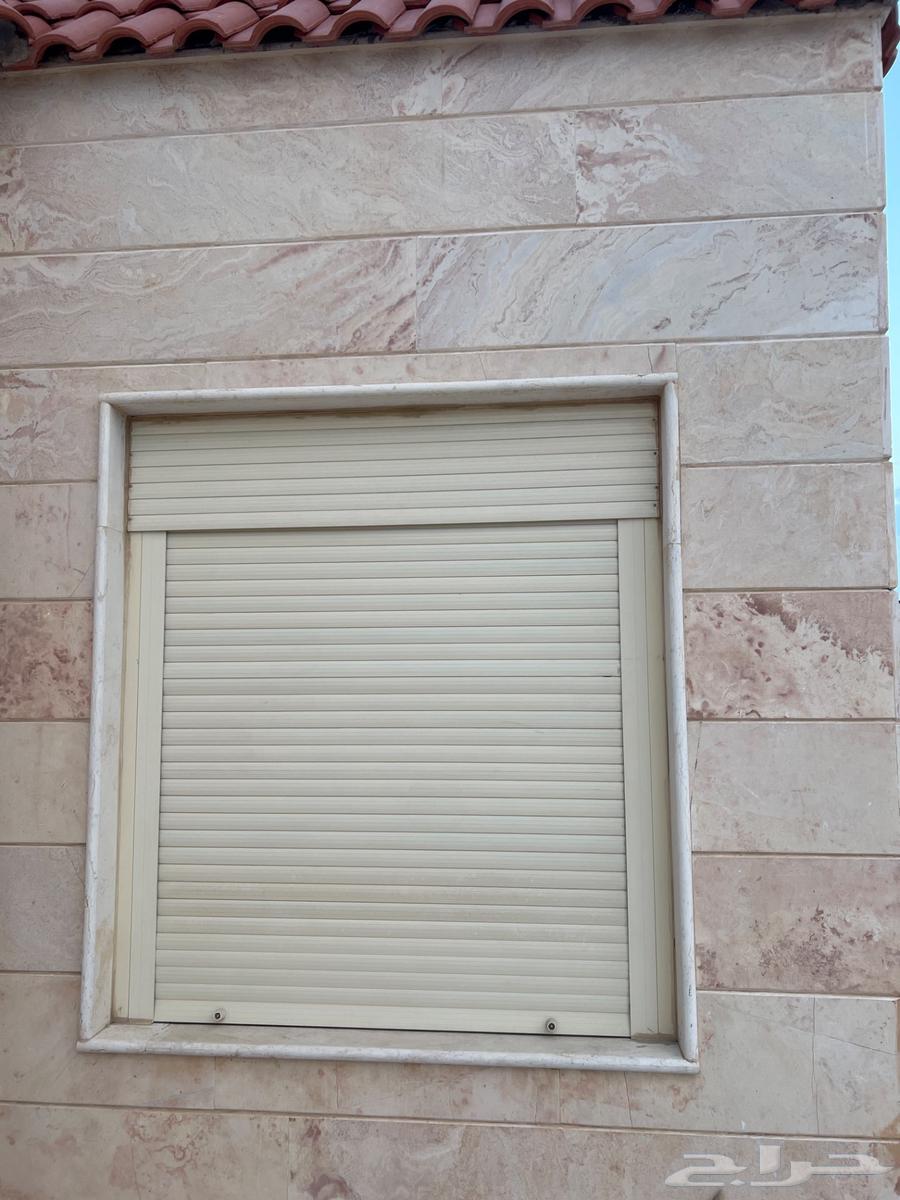 Cute singing camel number 364379761209731110