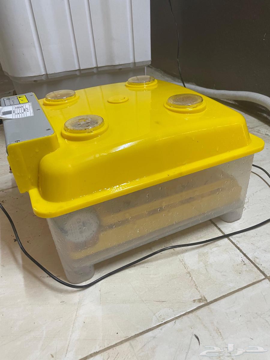 حضانه بيض للبيع64380390238339112