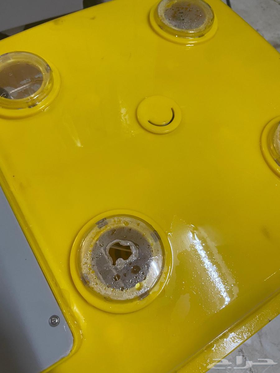 حضانه بيض للبيع64380390238339111