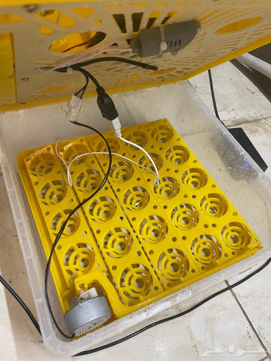 حضانه بيض للبيع64380390238339113