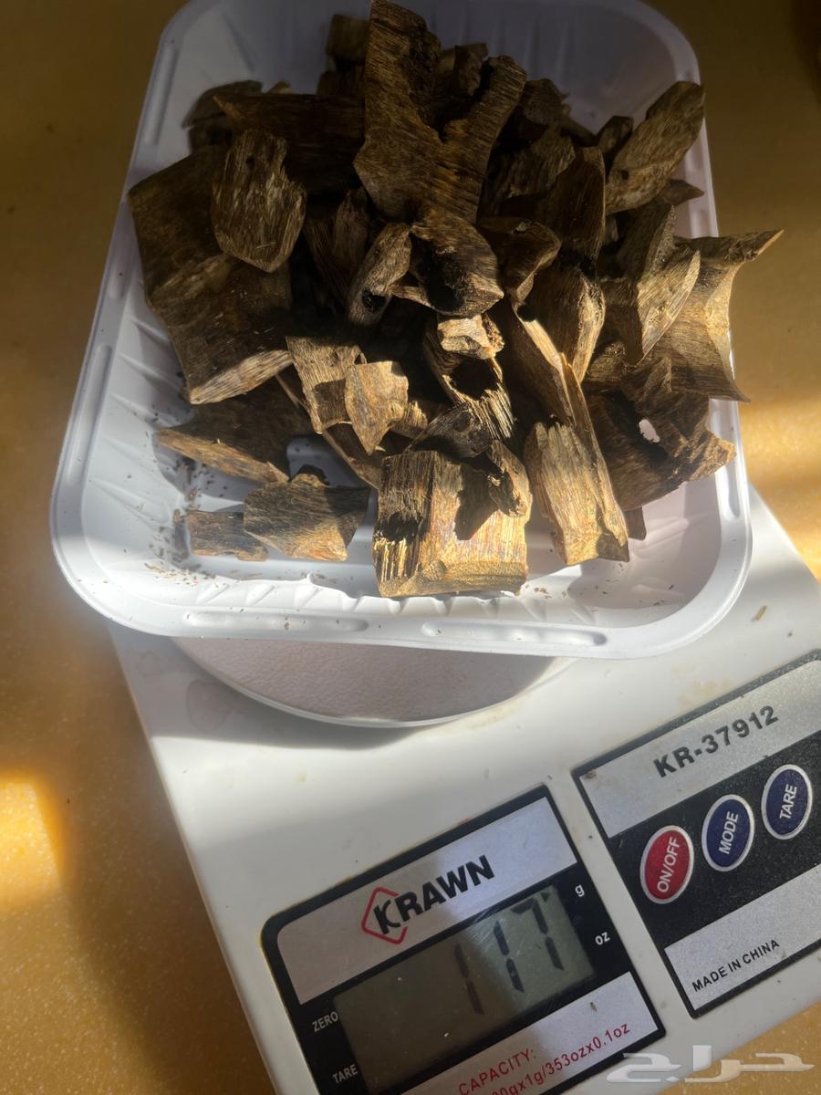 عود كينام64380419996929111