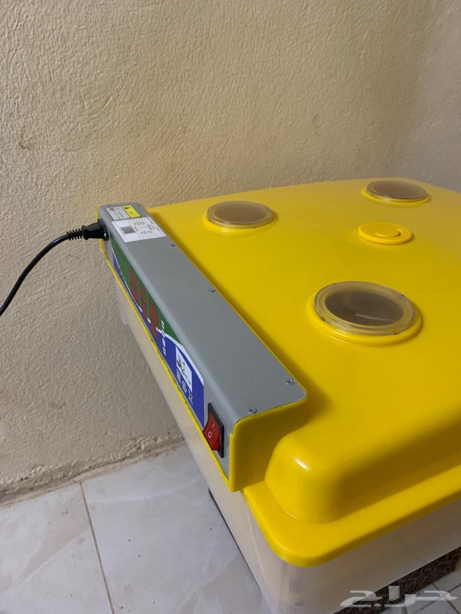 فقاسه 98 بيضه عون المربي64380847113729111