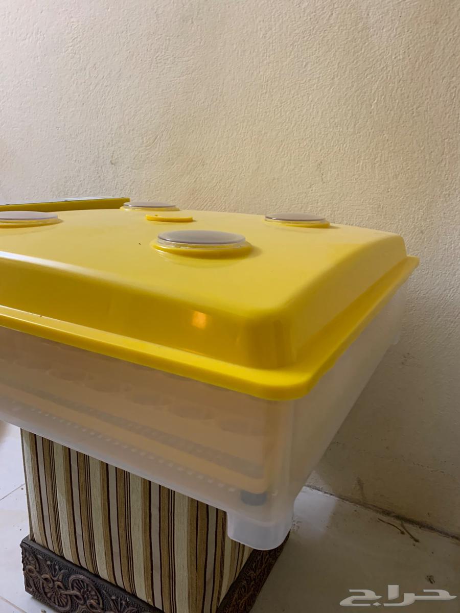 فقاسه 98 بيضه عون المربي64380847113729110