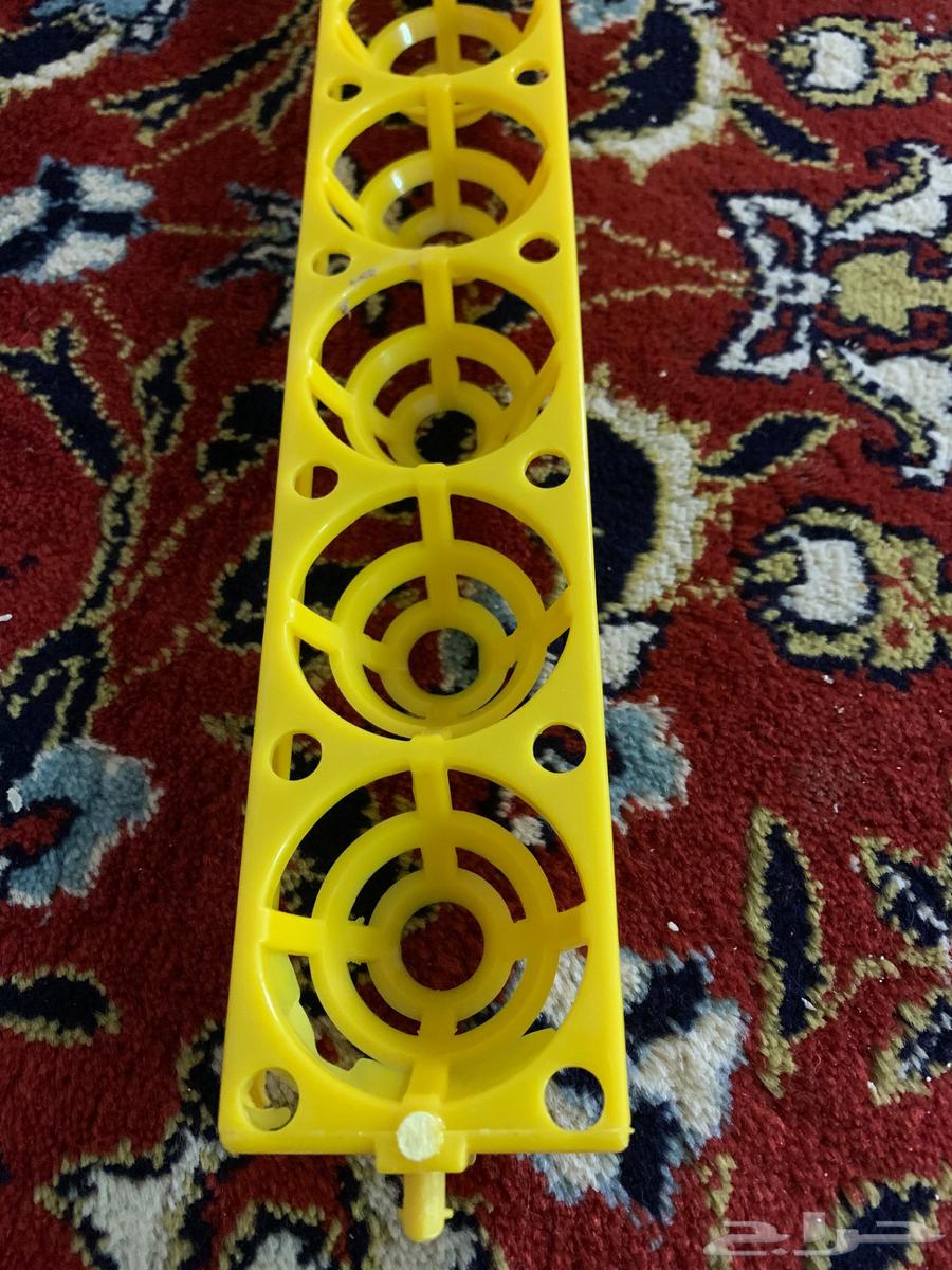 فقاسه 98 بيضه عون المربي64380847113729112