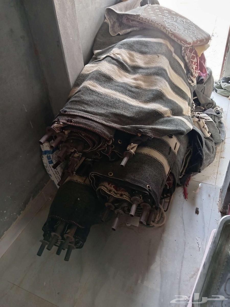 Tent 5 by 964385817505153111