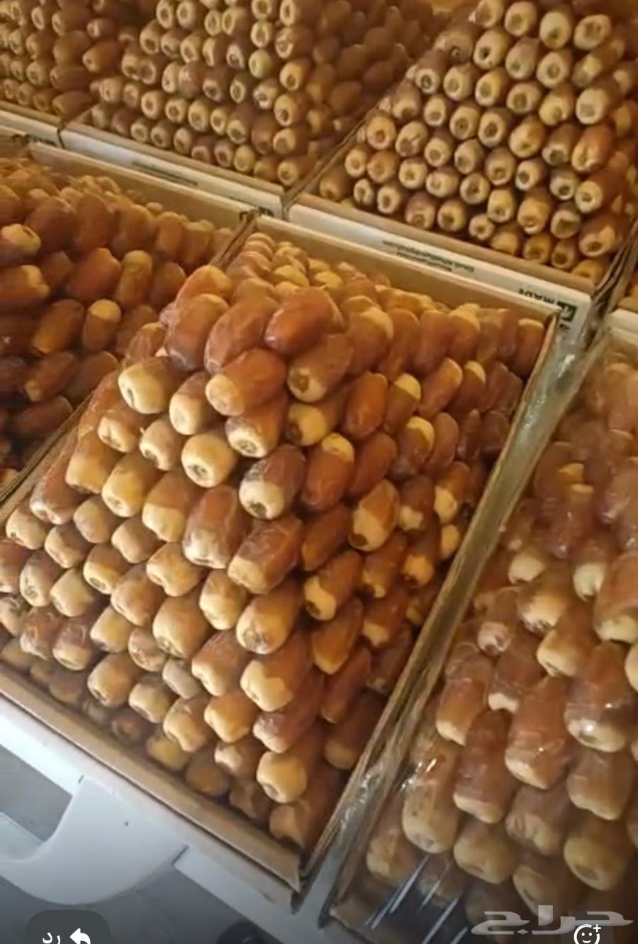 صقعي للبيع64386933740419110