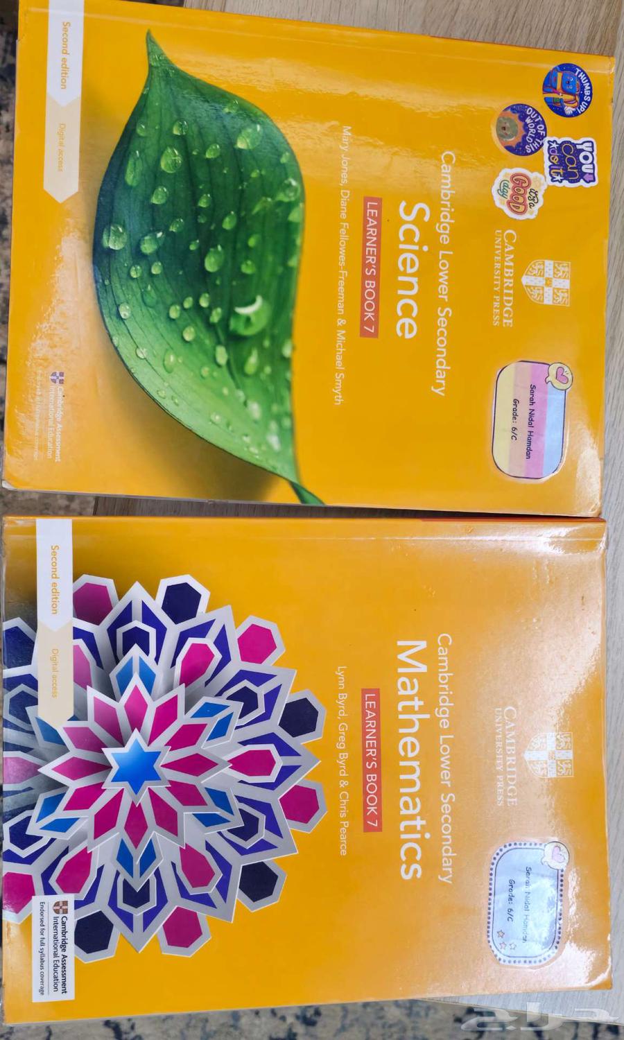 كتب للبيع الصف السادس منهج امريكي64384092193154111