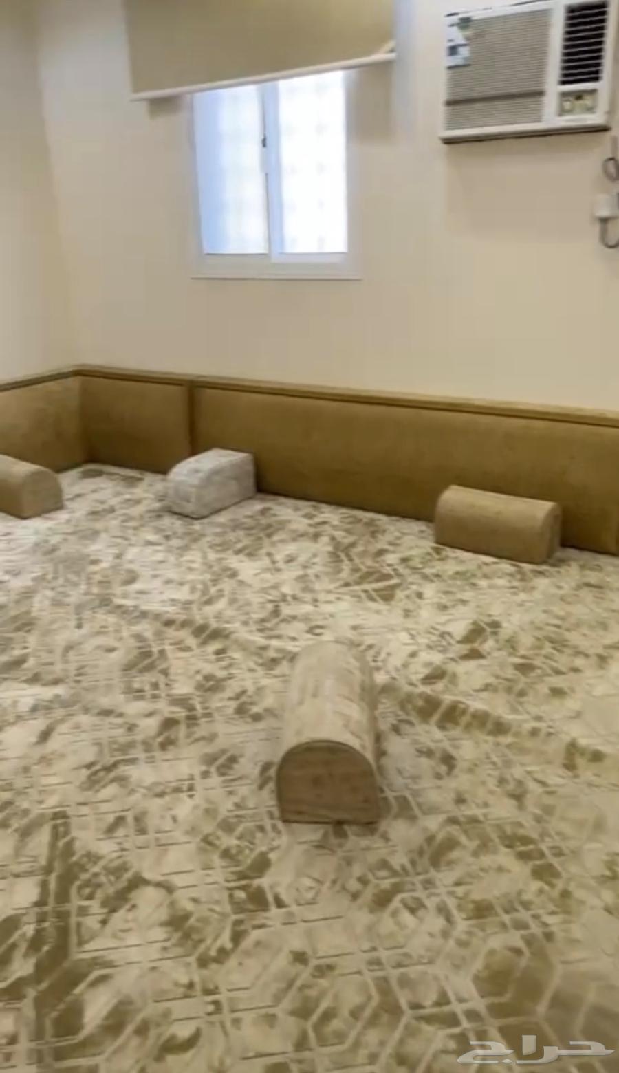 Back supports and 7 cushions size 5 564379341257603111