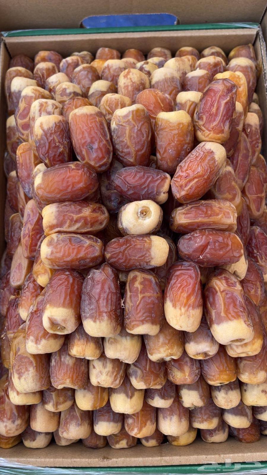 Excellent dates64385494905731111