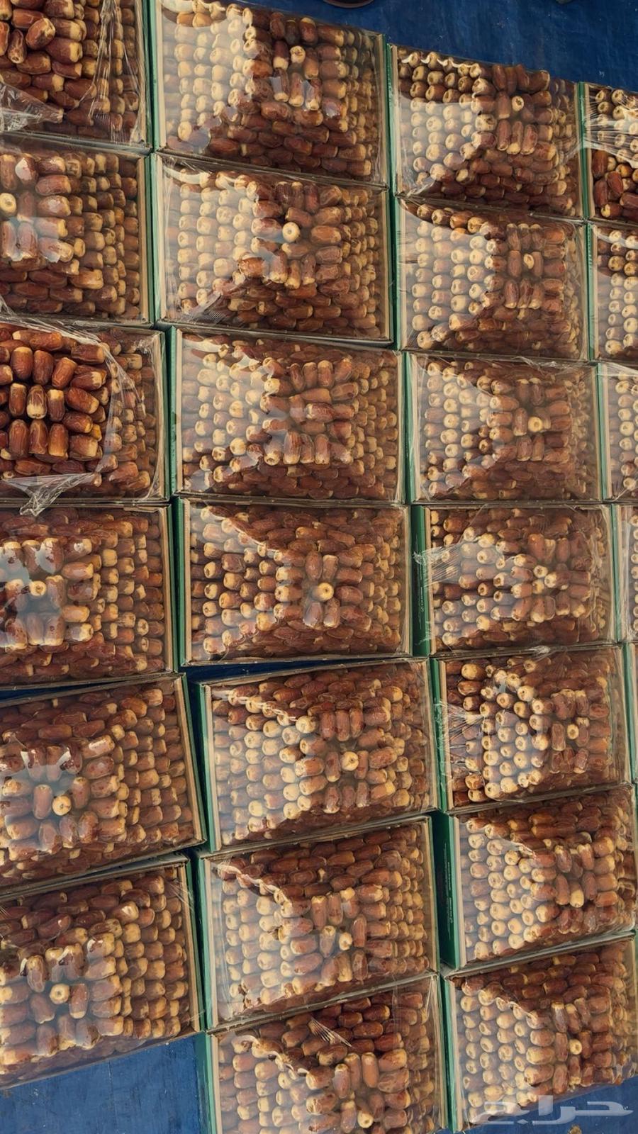 Excellent dates64385494905731110