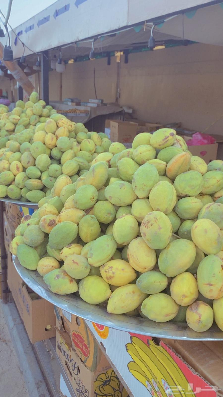 لوز شي طيب ويوجد توصيل64385803786883110