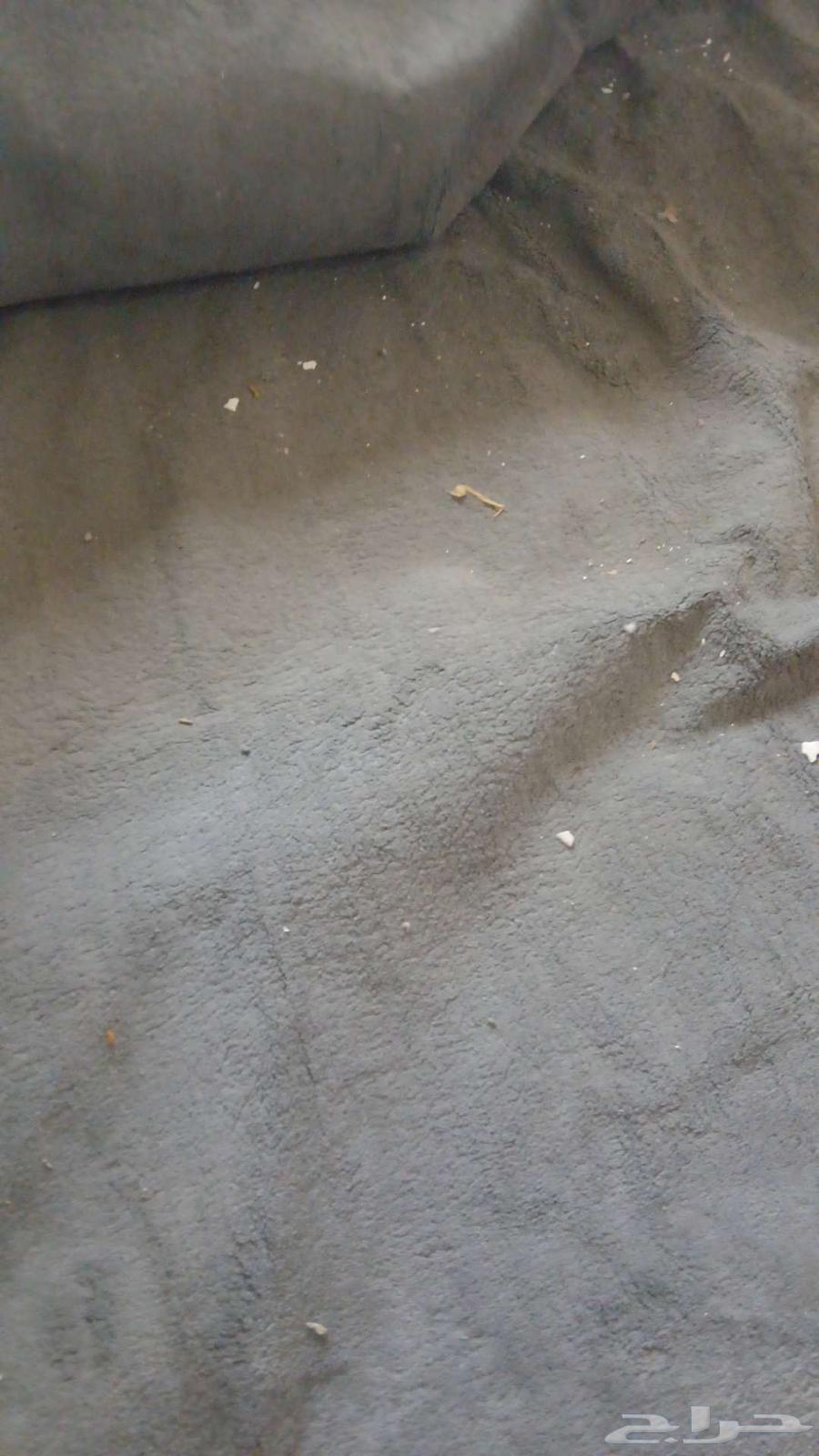 فرشه موكيت للبيع مستعجل ب 50 ريال64387815544451110