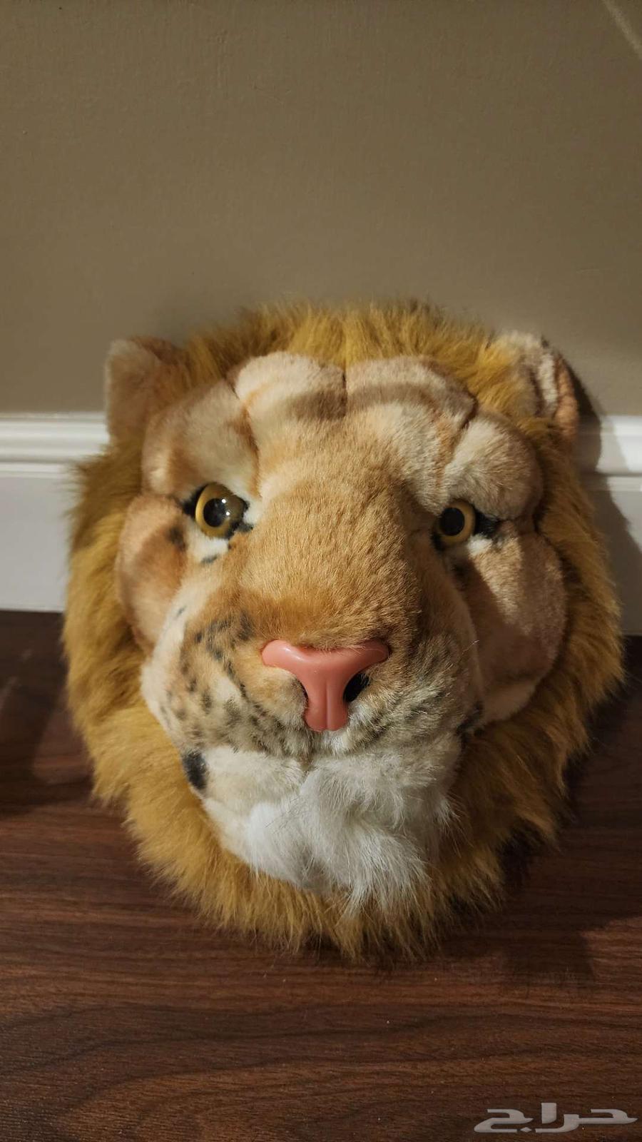 Statue of a lion's head64388564298497111